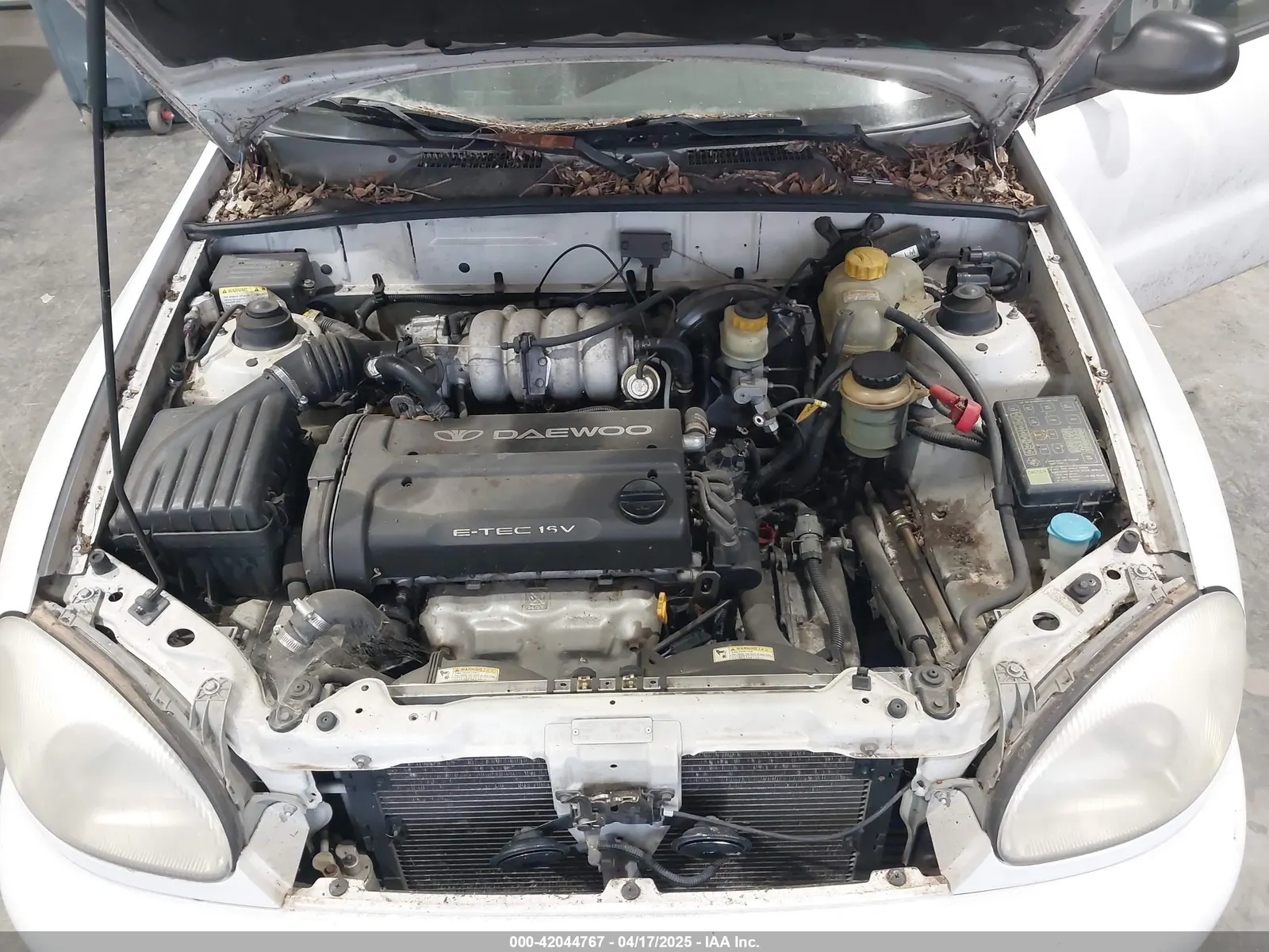 1999 Daewoo LANOS SE