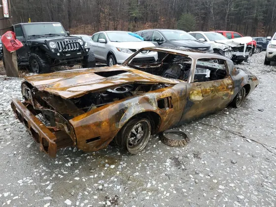 1981 Pontiac Firebird TRANS AM