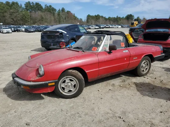 1987 Alfa Romeo Spider Veloce