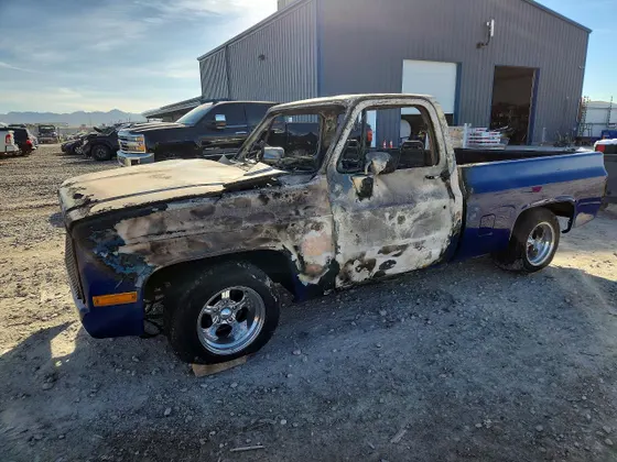 1981 Chevrolet Pickup C10
