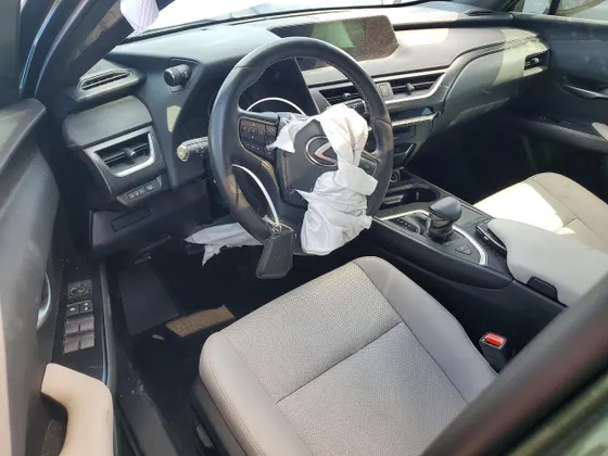 2021 Lexus UX UX 250h