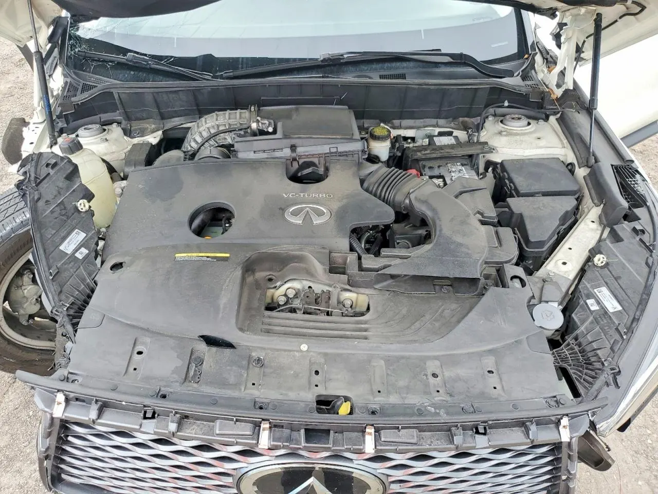 2019 INFINITI QX50 LUXE