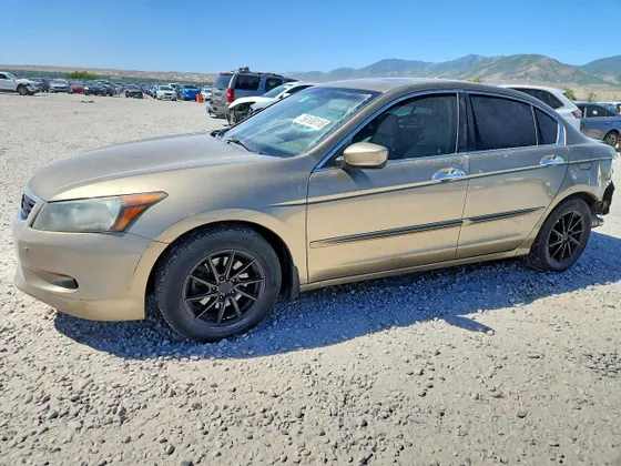 2008 Honda Accord Sdn EX-L