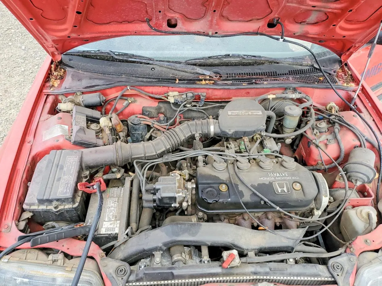 1988 Honda CRX DX