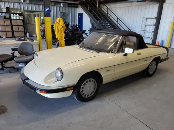 1988 Alfa Romeo Spider Graduate
