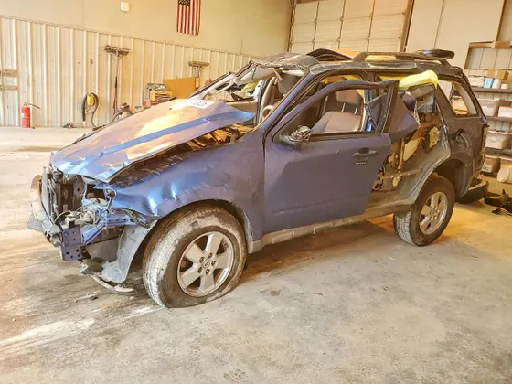 2009 Ford Escape XLT