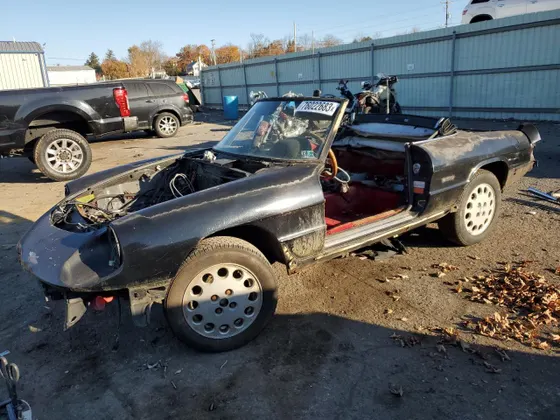 1988 Alfa Romeo Spider QUADRIFOGLIO