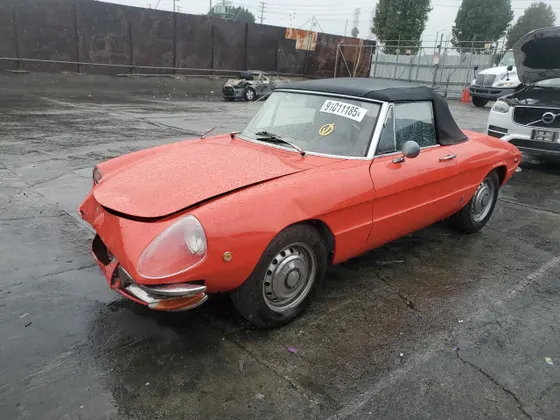 1969 Alfa Romeo Spider