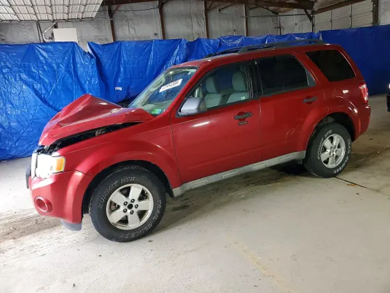 2009 Ford Escape XLT