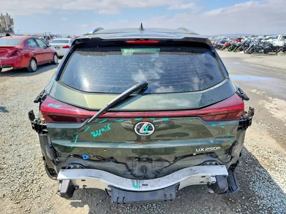 2024 Lexus UX UX 250h