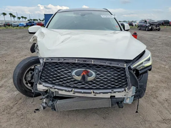 2019 INFINITI QX50 LUXE