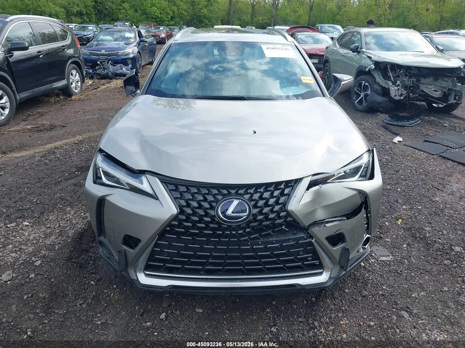 2021 Lexus UX UX 250h