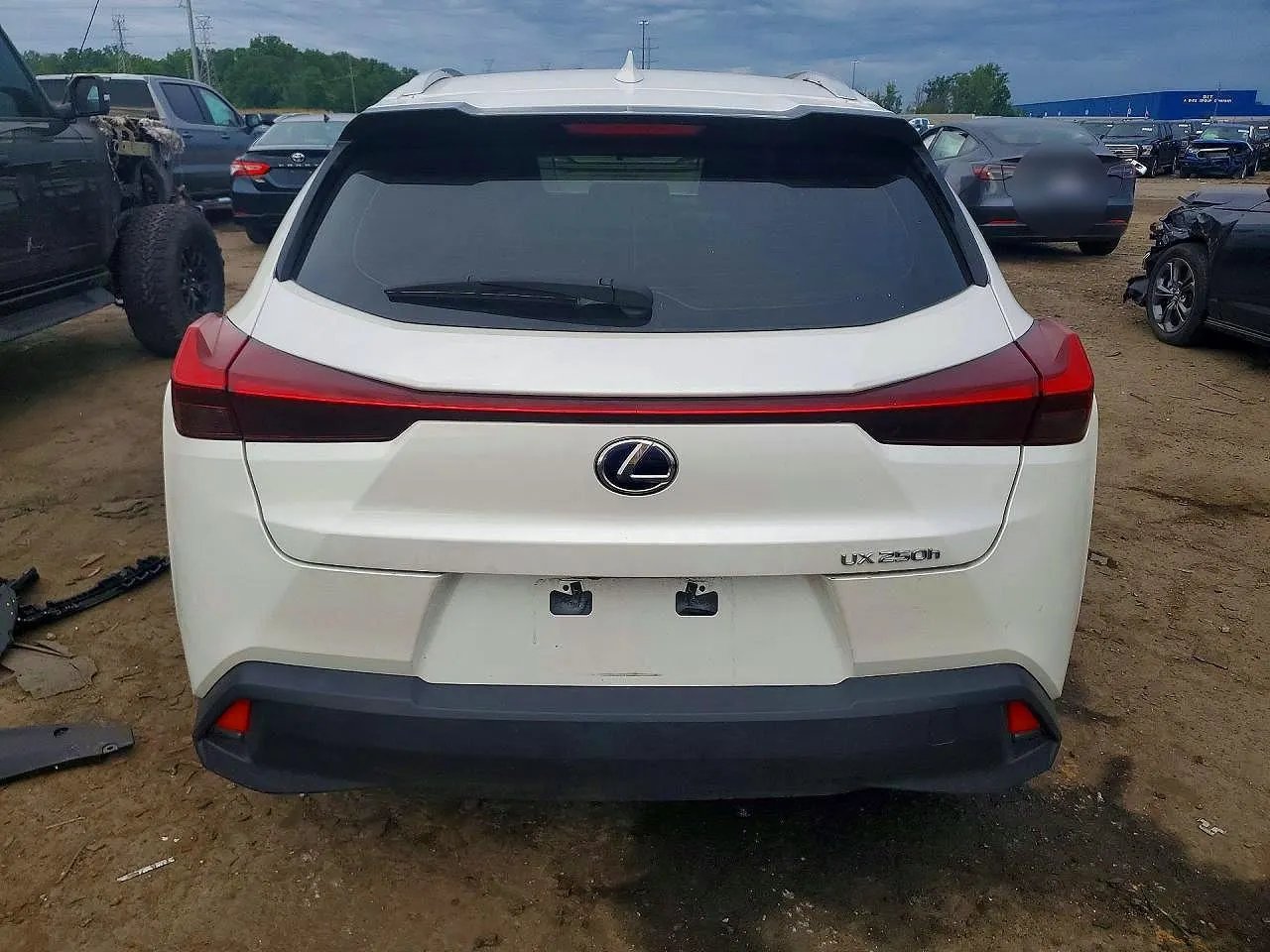 2019 Lexus UX UX 250h F SPORT