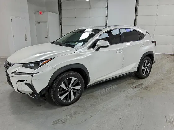 2020 Lexus NX NX 300h