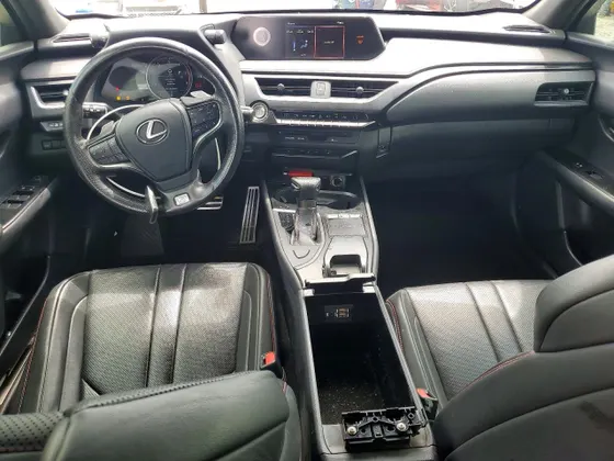 2019 Lexus UX UX 200 F SPORT