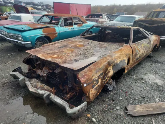 1979 Ford Thunderbird THUNDERBIR