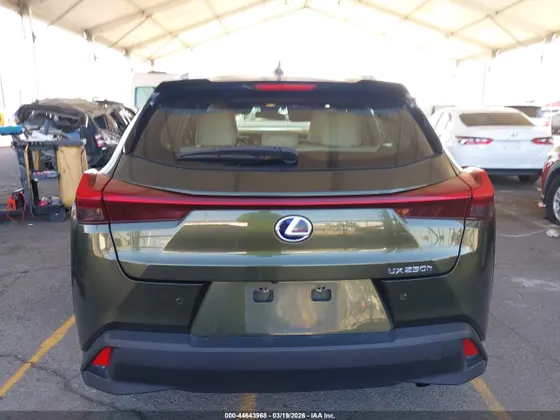 2022 Lexus UX UX 250h