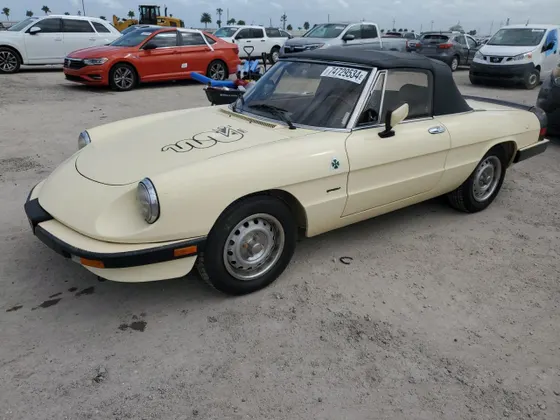 1987 Alfa Romeo Spider Graduate
