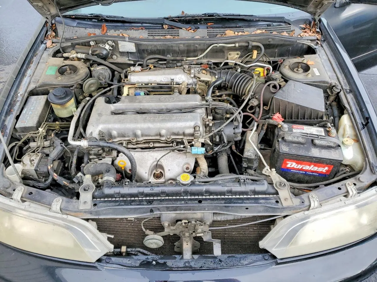 2002 INFINITI G20 Luxury