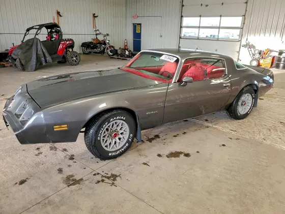 1981 Pontiac Firebird