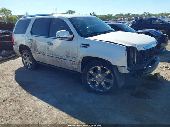 2009 Cadillac Escalade STANDARD