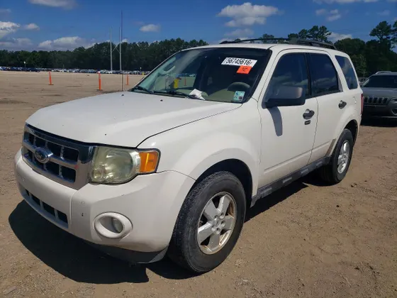 2009 Ford Escape XLT