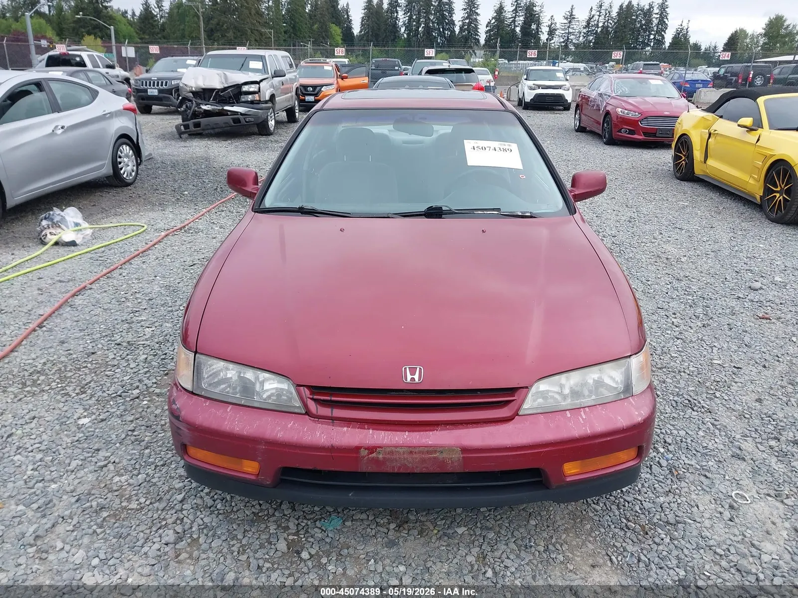 1994 Honda Accord EX w/Leather