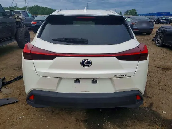 2019 Lexus UX UX 250h F SPORT
