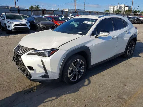 2024 Lexus UX UX 250h