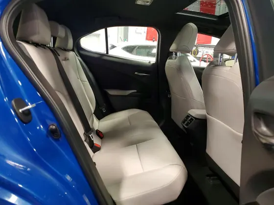 2025 Lexus UX UX 300h Premium