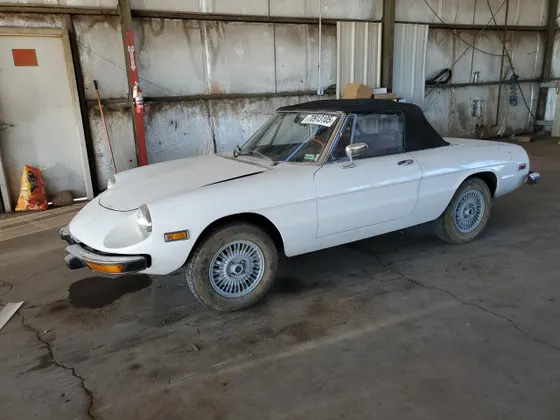 1975 Alfa Romeo Spider