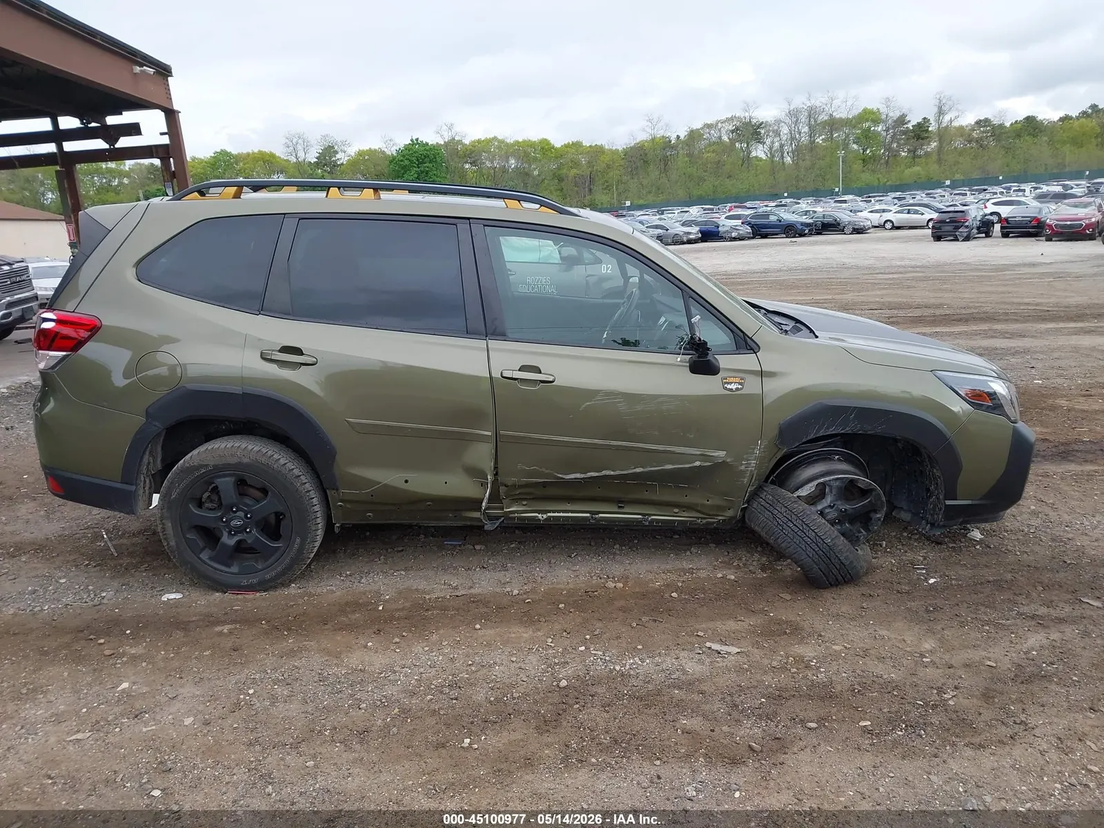 2023 Subaru Forester Wilderness