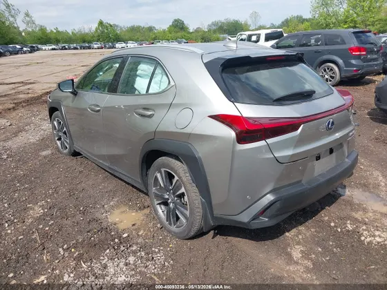 2021 Lexus UX UX 250h