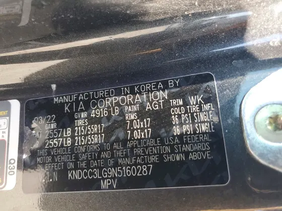 2022 Kia Niro EV EX