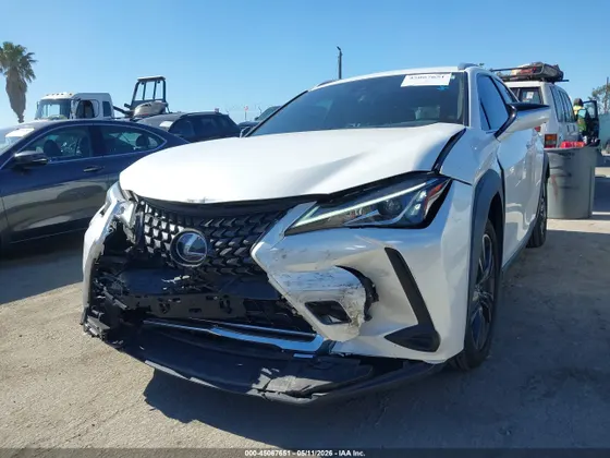 2020 Lexus UX UX 250h