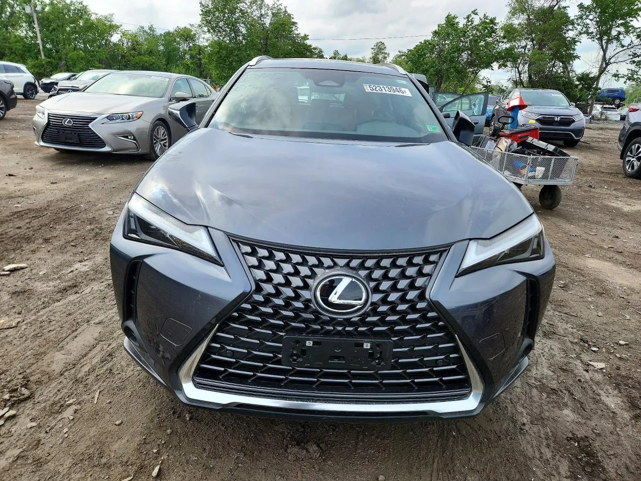 2025 Lexus UX UX 300h Premium