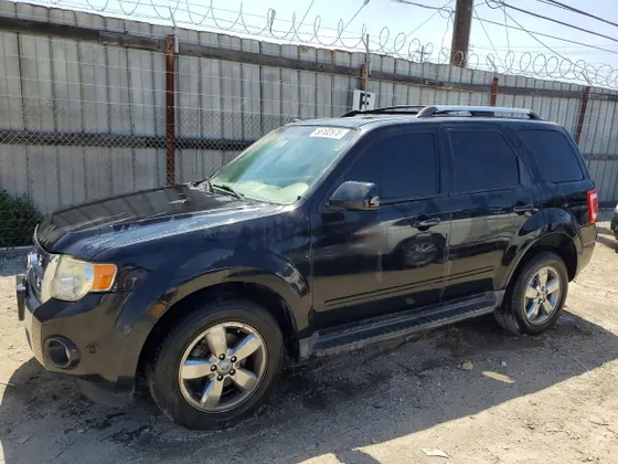 2010 Ford Escape Limited