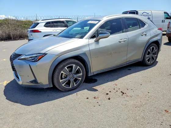 2019 Lexus UX UX 200 F SPORT