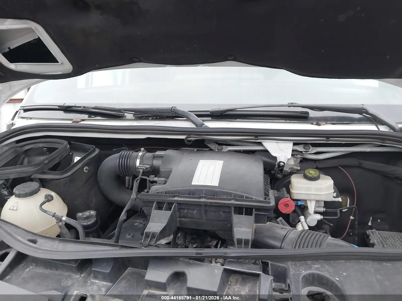 2019 Freightliner SPRINTER HIGH ROOF V6