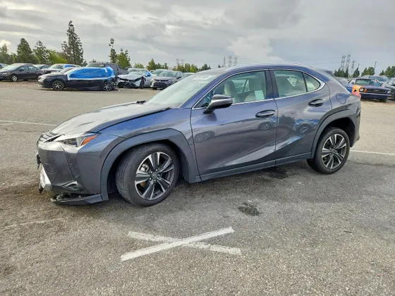 2025 Lexus UX UX 300h