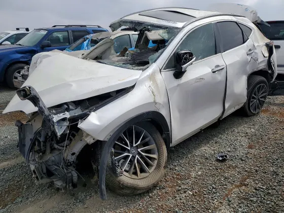 2024 Lexus NX NX 350h Premium