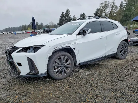 2021 Lexus UX UX 250h F SPORT