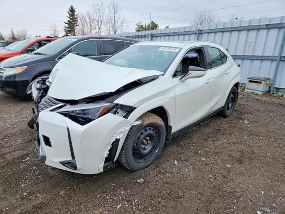 2024 Lexus UX UX 250h Luxury
