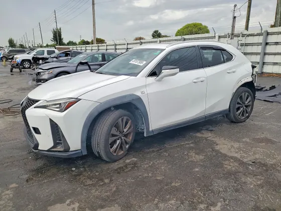 2019 Lexus UX UX 200 F SPORT