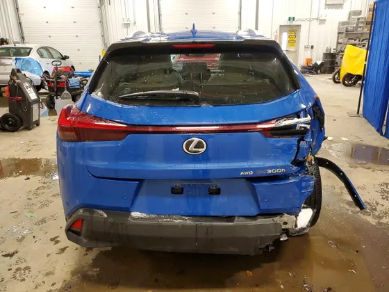 2025 Lexus UX UX 300h Premium