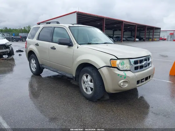 2010 Ford Escape XLT