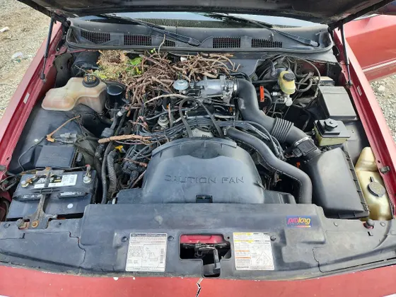 1997 Ford Crown Victoria