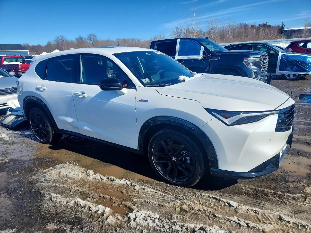 2025 Acura ADX w/A-Spec Advance Package
