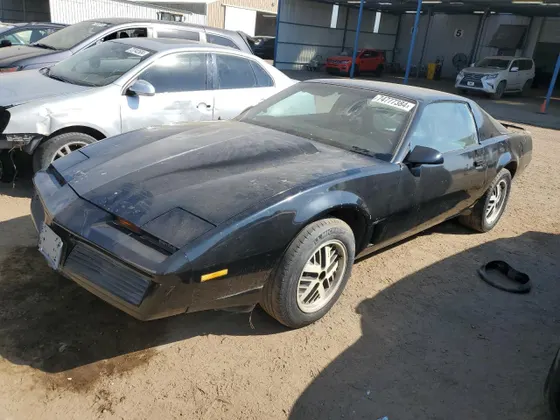1982 Pontiac Firebird TRANS AM