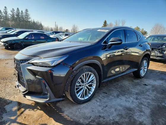 2023 Lexus NX NX 350 Premium